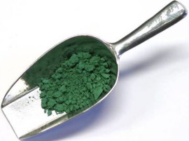 020510-bosch-groen-547x407