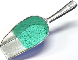 020610-zee-groen-500x389